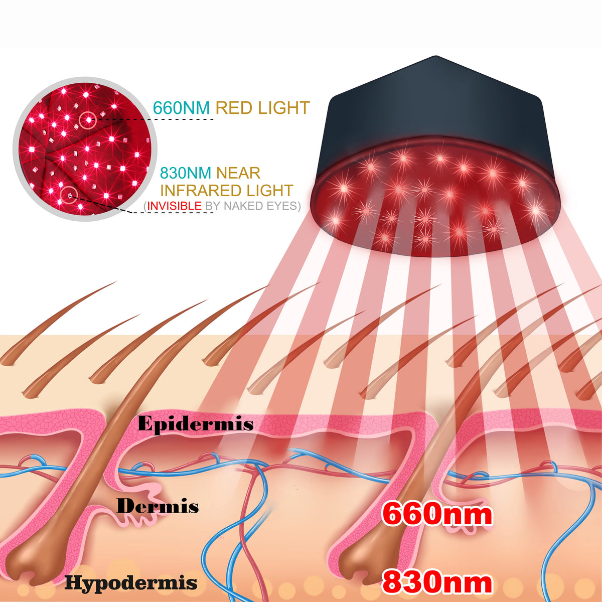 Red & Near Infrared Light Therapy Cap – 660nm & 830nm LED Hair Growth Device